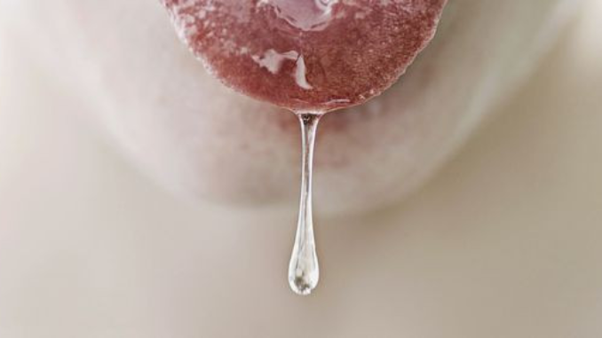 Air liur menjaga mulut tetap lembap, membantu menelan dan bicara, menetralkan asam, memasok mineral ke enamel, menekan kuman, dan ikut mempercepat pemulihan luka kecil.